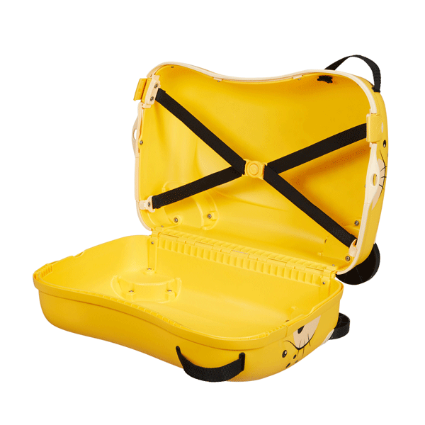 SAMSONITE DREAM RIDER VALISE DE TRANSPORT