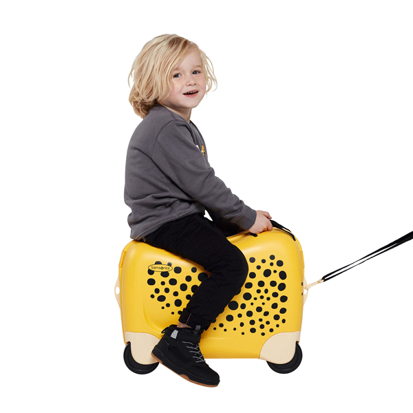 SAMSONITE DREAM RIDER VALISE DE TRANSPORT